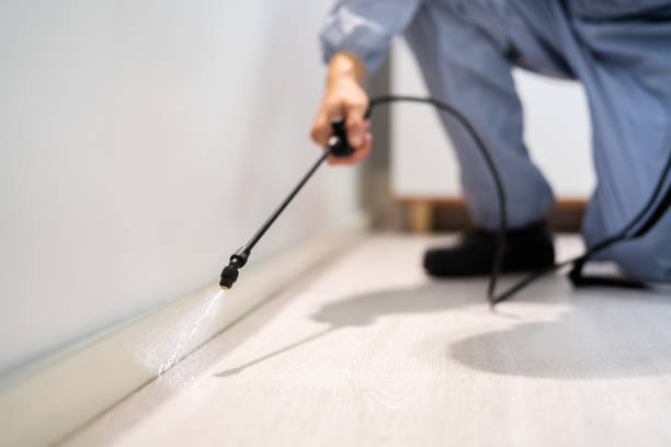 Certified termite inspector examining foundation in Hogansville